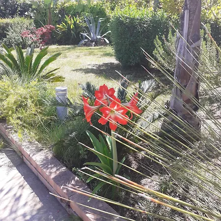 Con Piscina In Campagna Villa Pisticci