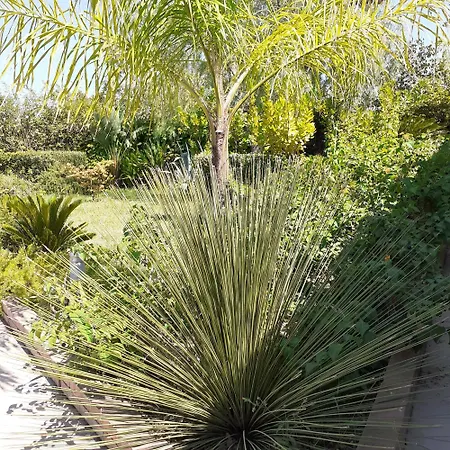 Con Piscina In Campagna فيلة