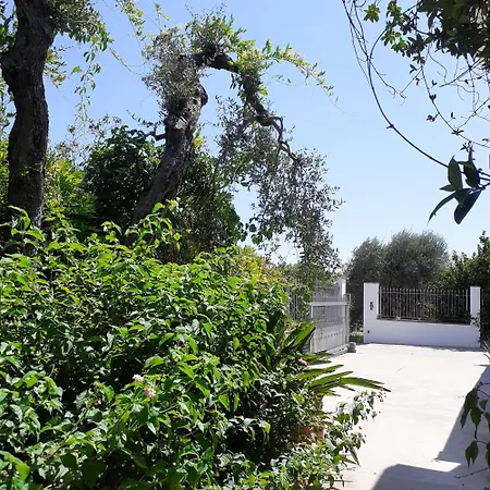Con Piscina In Campagna فيلة