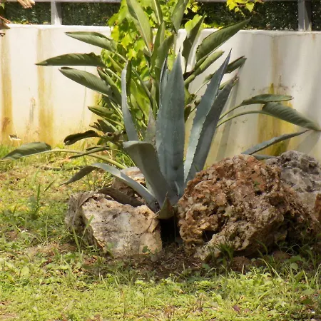 Con Piscina In Campagna فيلة بيستيشي